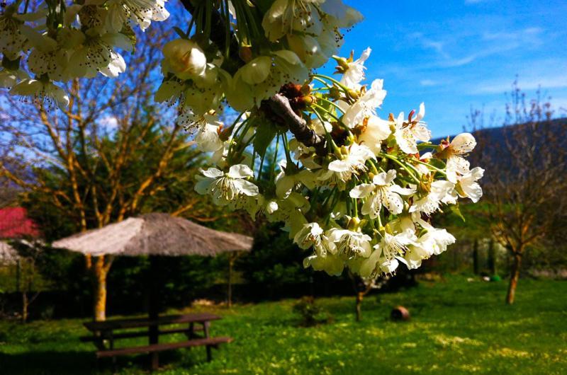 Arte Y Natura Valdivielso Quintana de Valdivielso Bagian luar foto