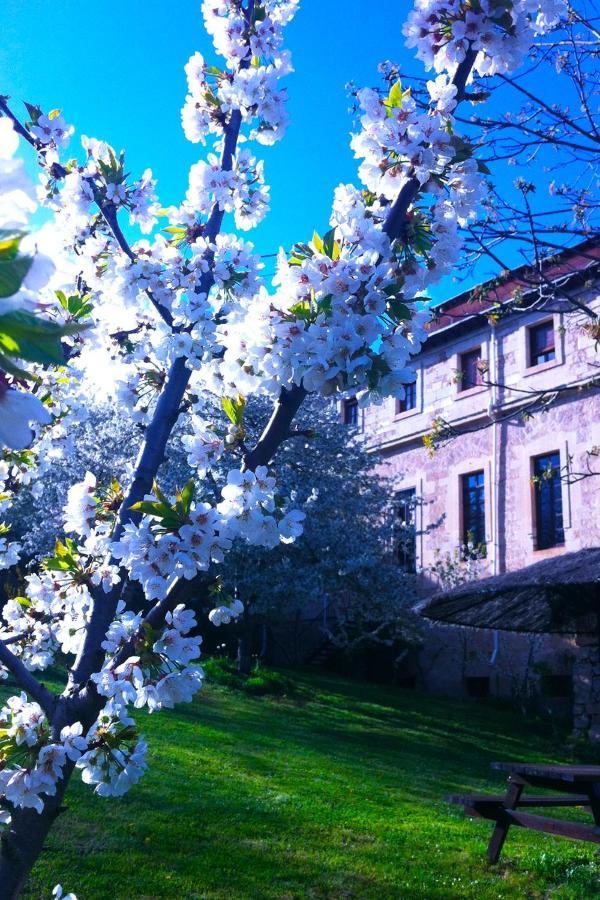Arte Y Natura Valdivielso Quintana de Valdivielso Bagian luar foto